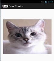 Bea Photo