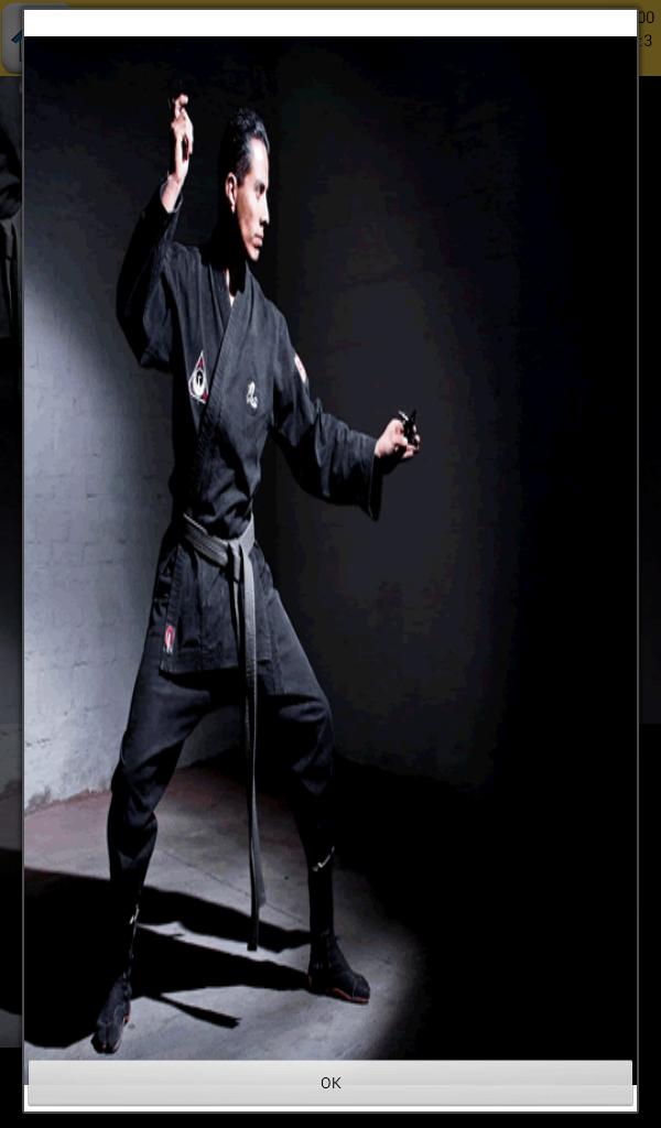 Games Ninjutsu