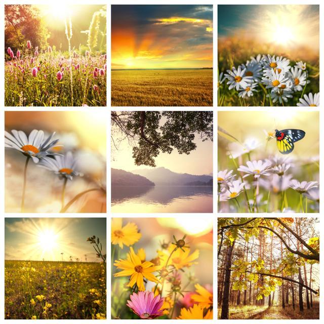 Pix Stitch Collage
