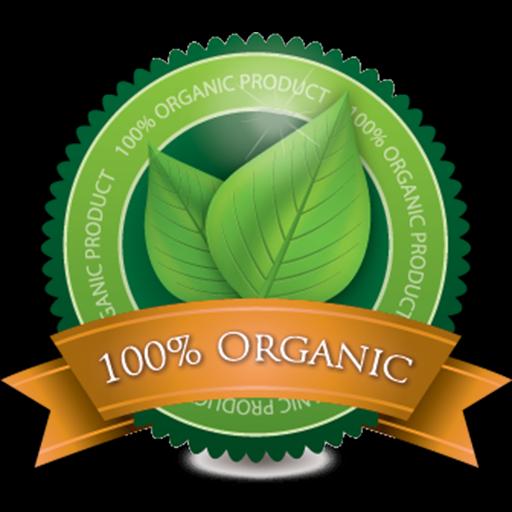 Tanaman Obat herbal