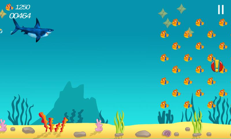 Shark Dive Adventure