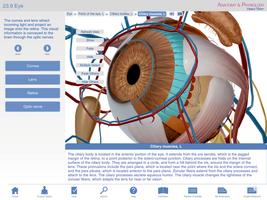 Anatomy & Physiology Springer