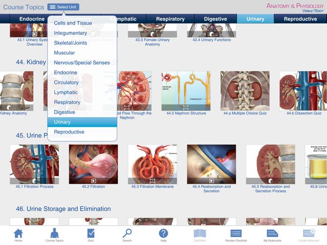 Anatomy & Physiology Springer