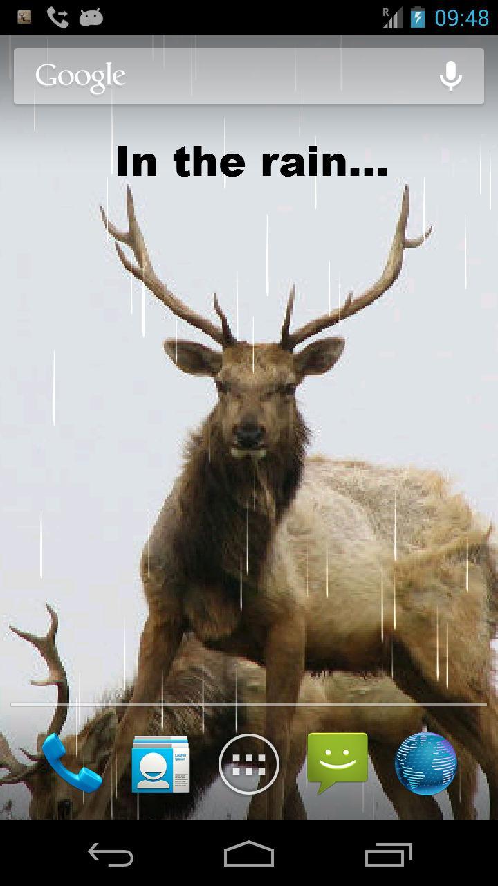 Deer Hunting Live Wallpaper