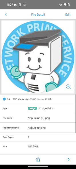 Network Print