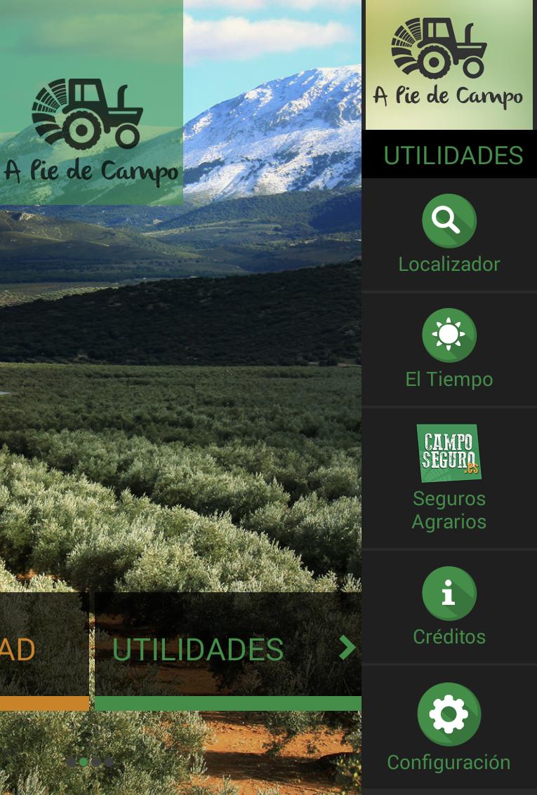 A Pie de Campo