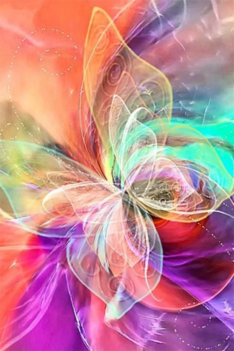 Butterfly Wallpaper Live
