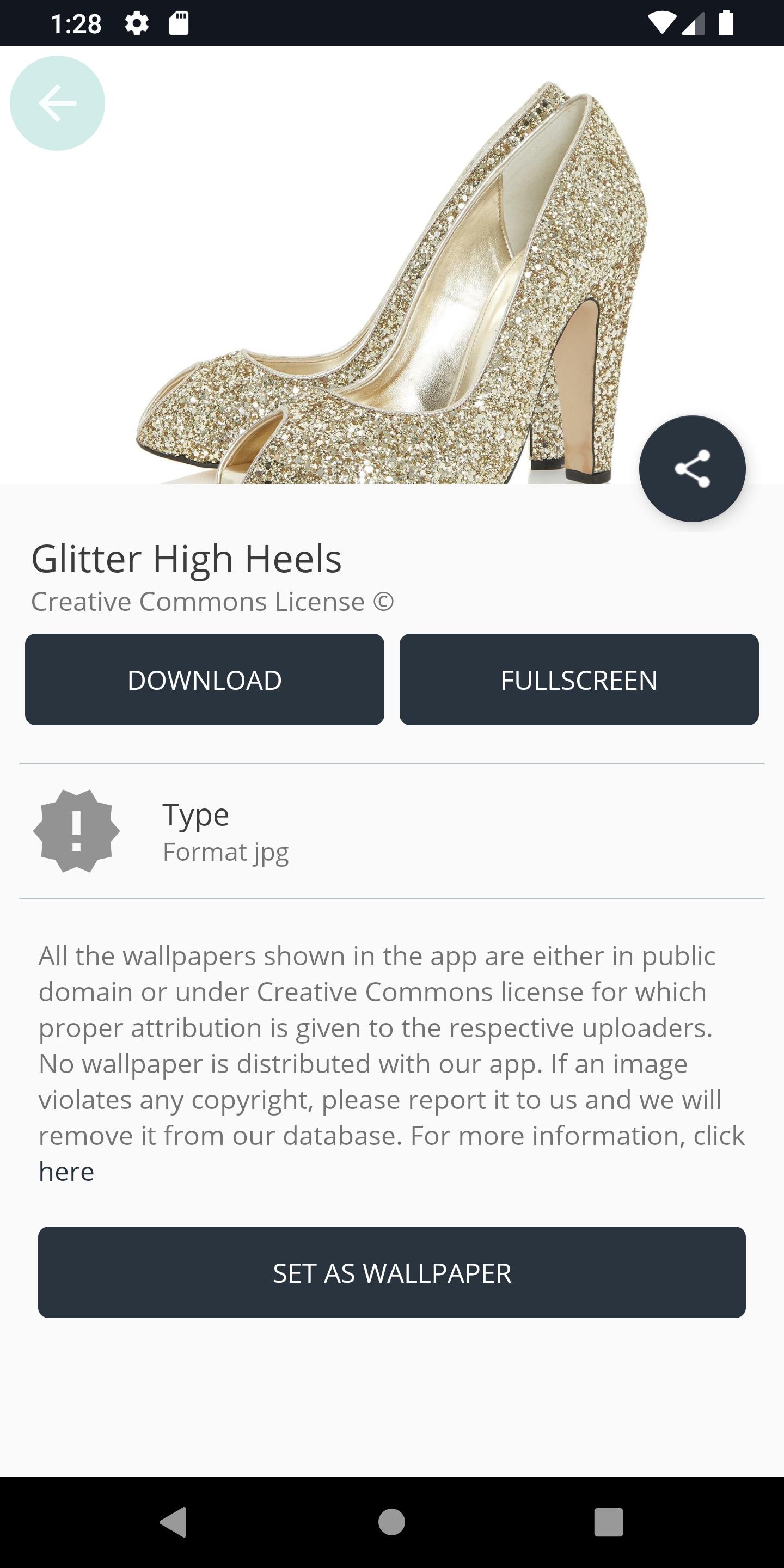 Glitter High Heels
