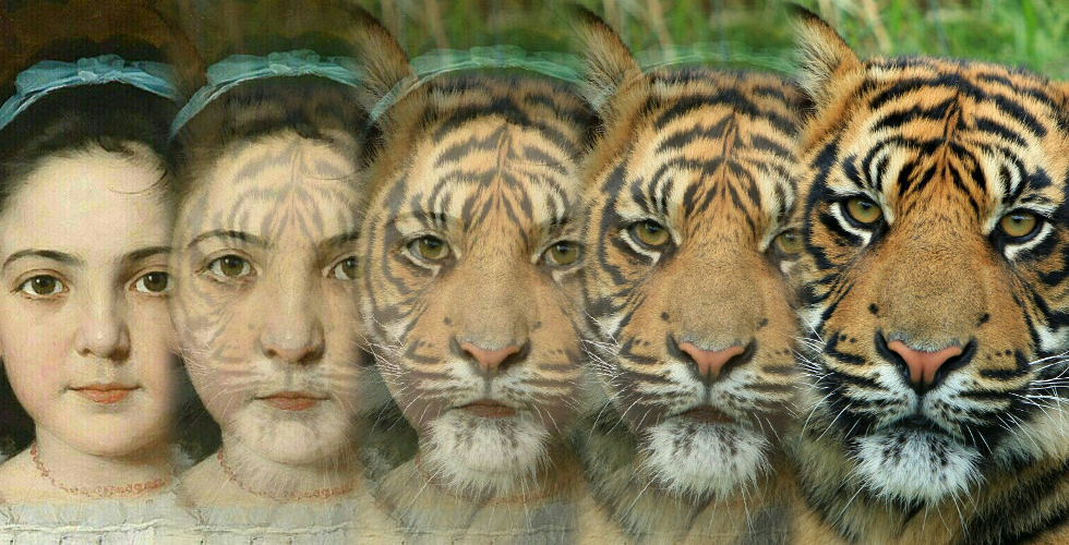 Zooface