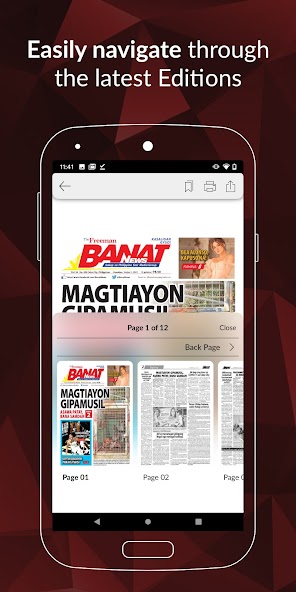 Banat News