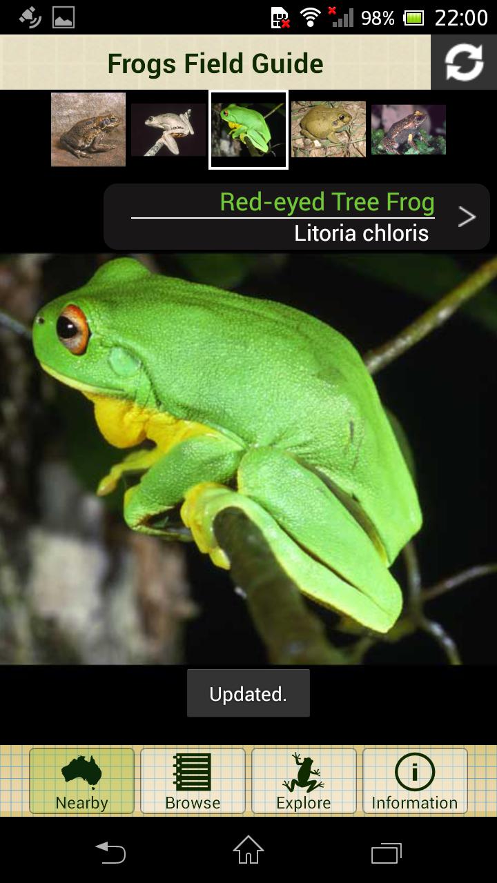 Frogs Field Guide