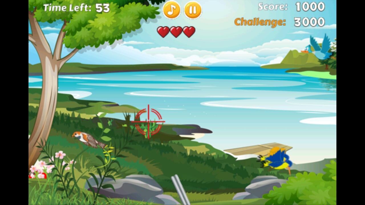 Duck Hunting Madness