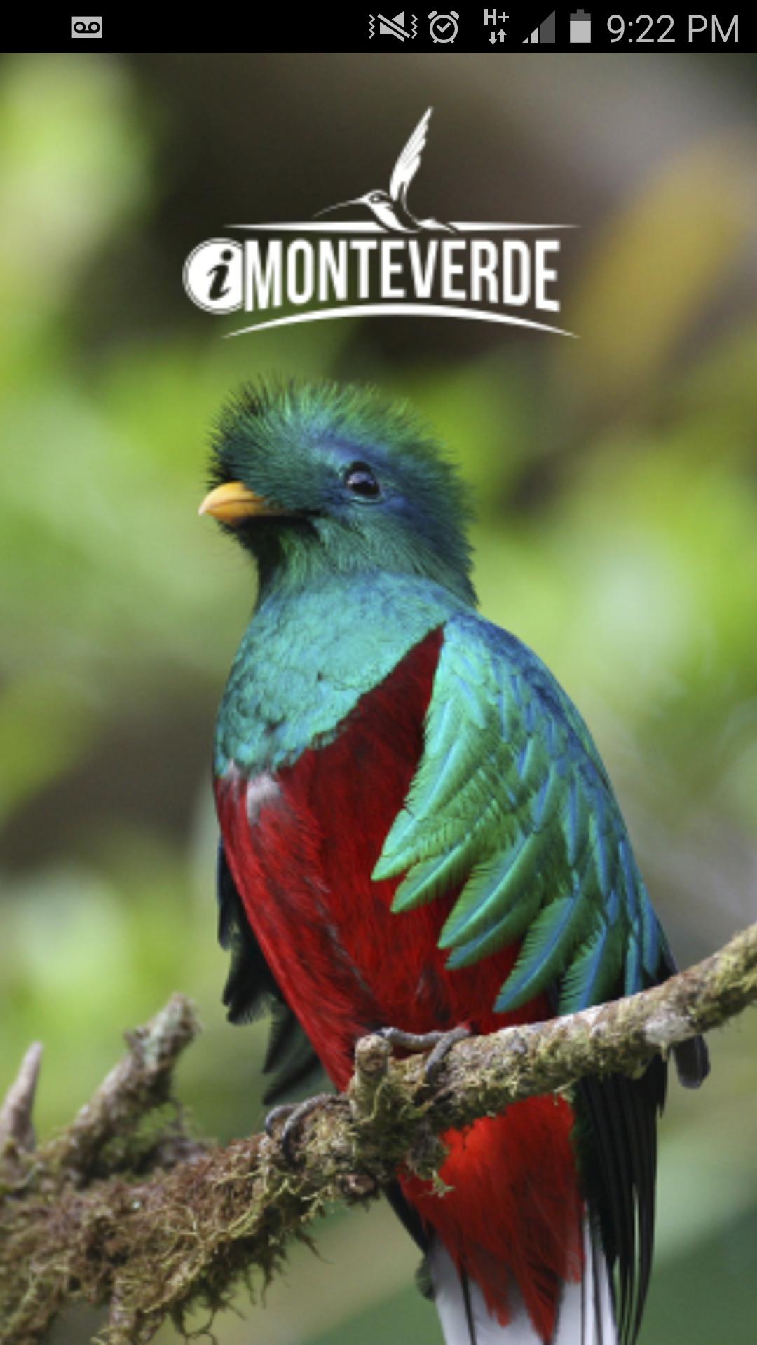 iMonteverde - Costa Rica