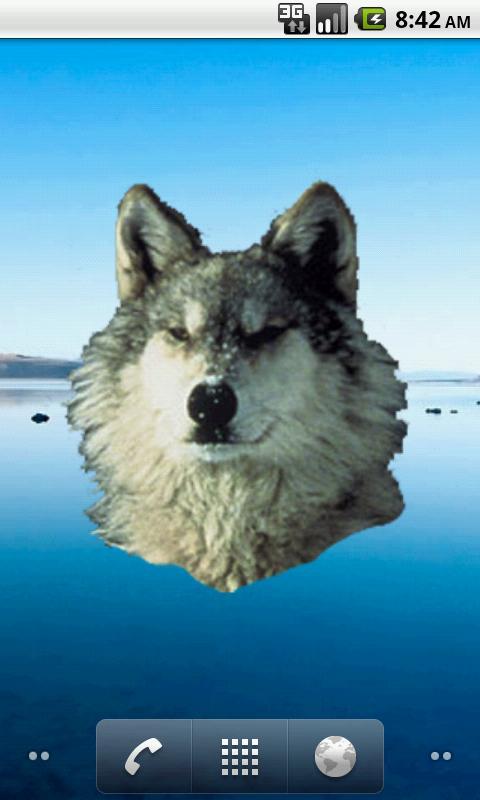 Wolf Sticker