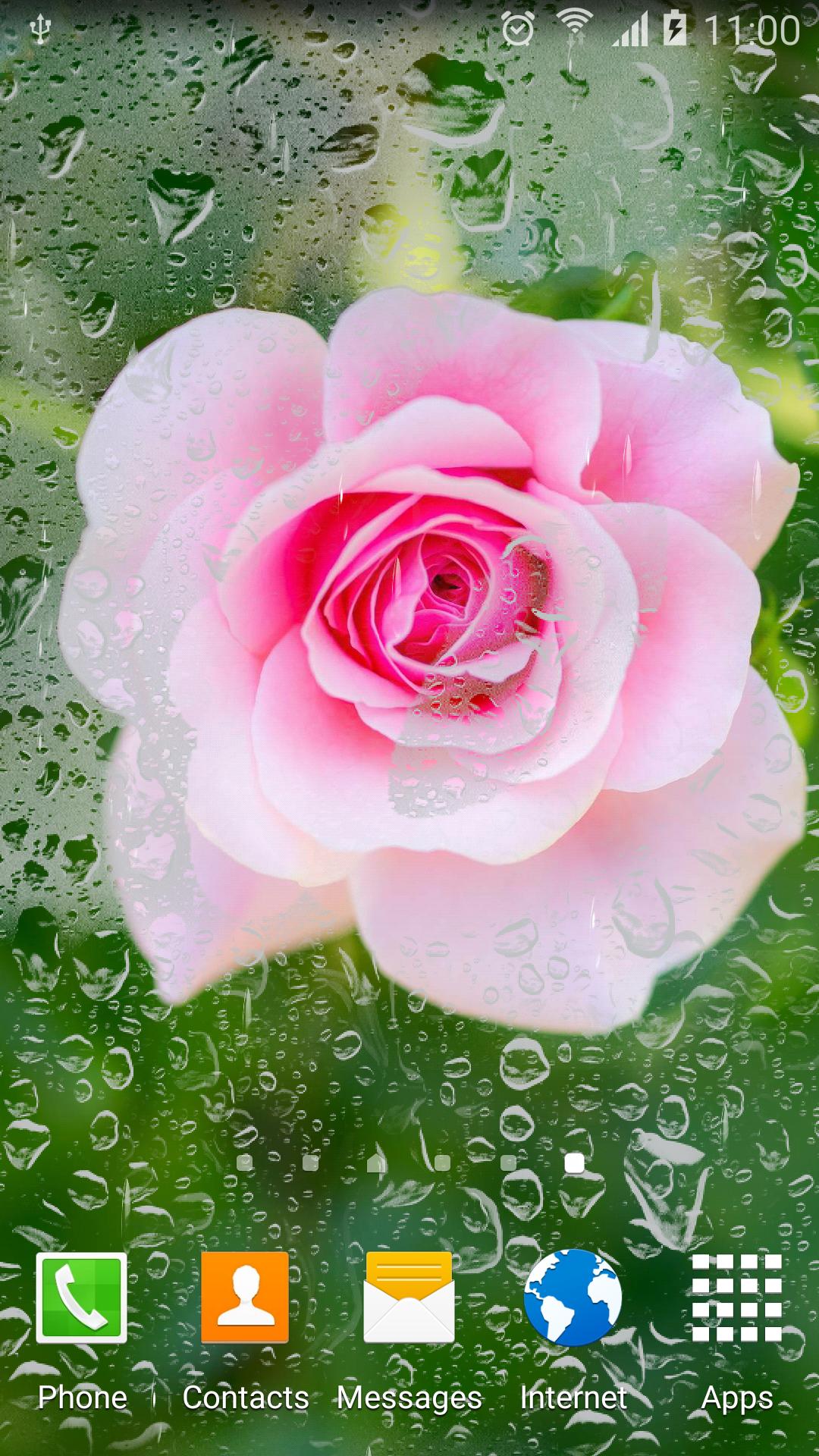 Roses Wallpaper