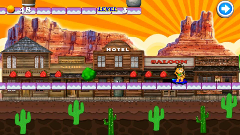 Sheriff Cat Skater Run