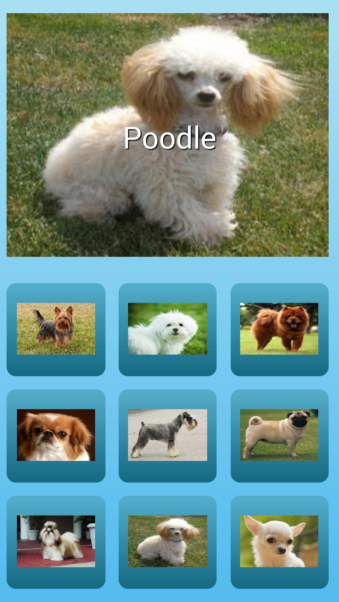 dogs barking  sound effects