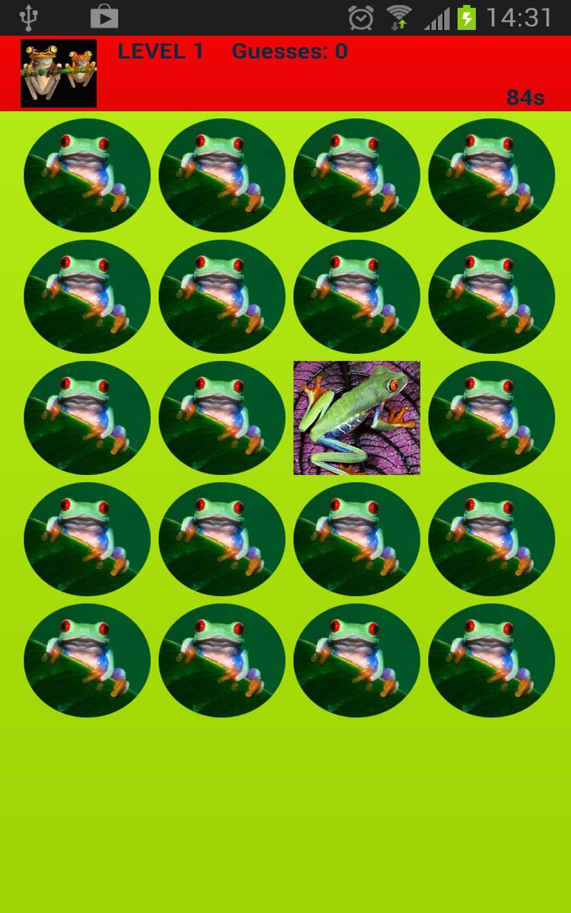 Colorful Frogs Memory Game