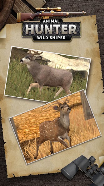 Animal Hunter : Wild Sniper