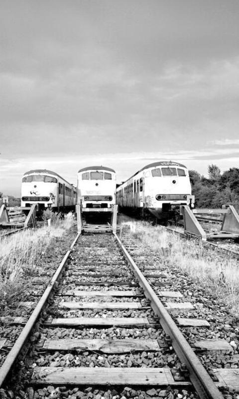 Trains Jigsaw Puzzle