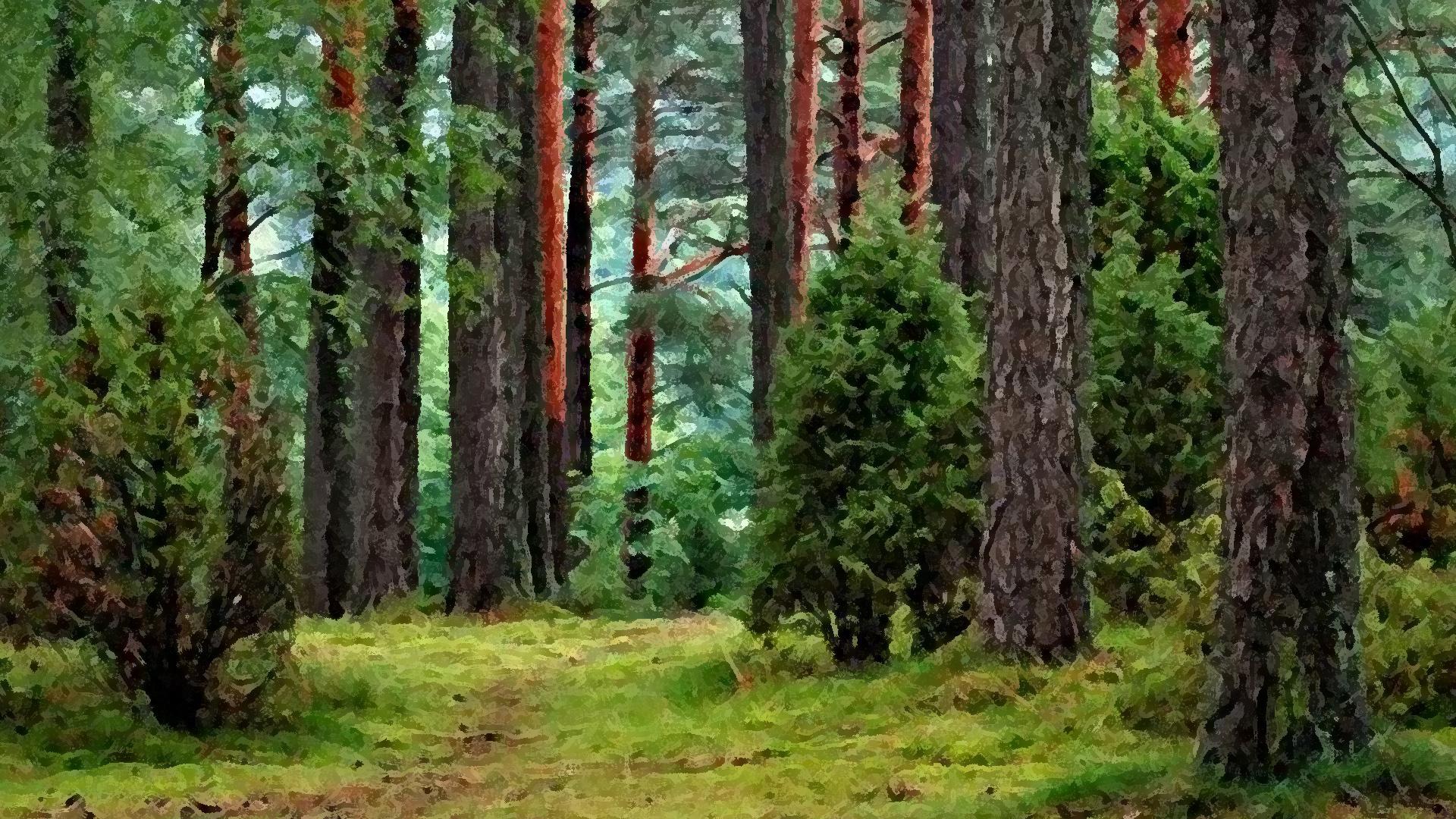 Wallpapers for Nature