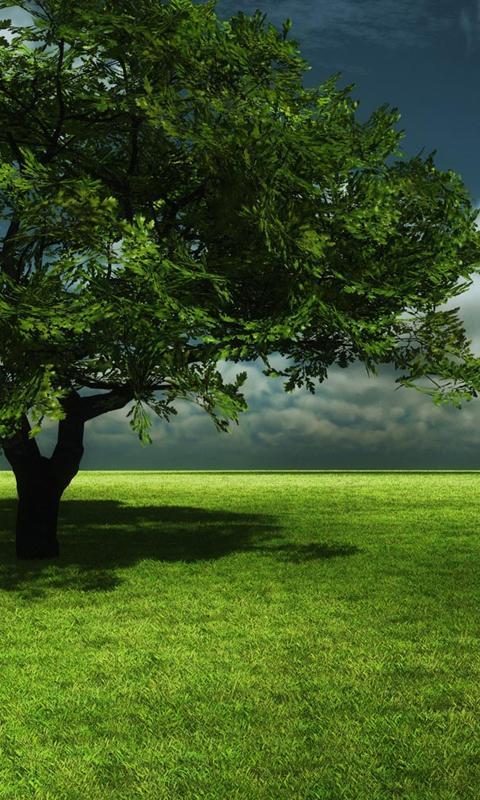 Grass Live Wallpaper