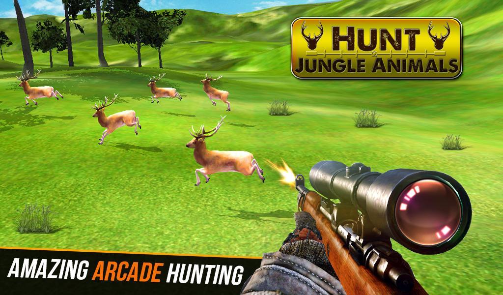 Hunt Jungle Animals