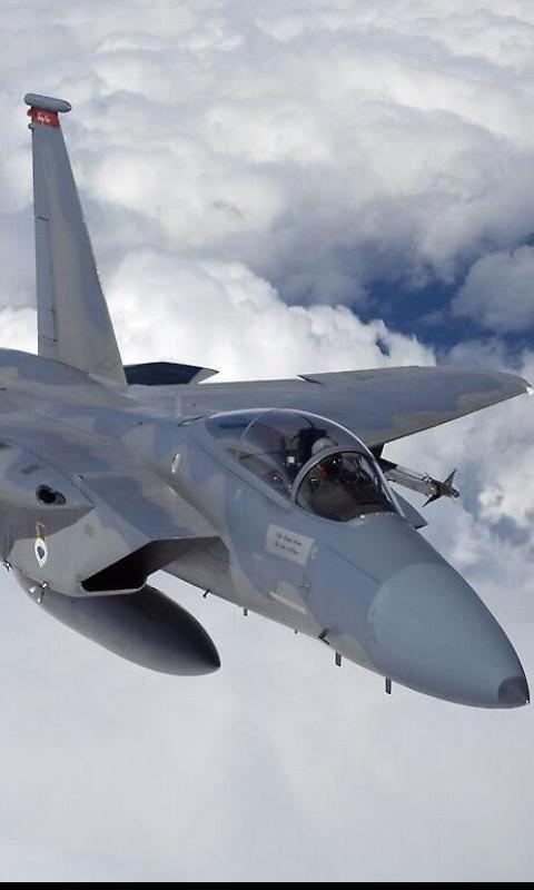 Jigsaw Puzzle F-15 Aircraft