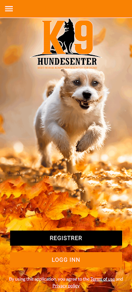K9 Hundesenter