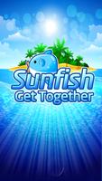 Sunfish Mania