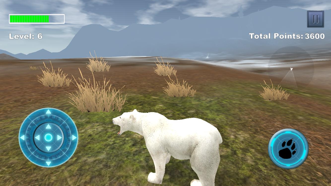 Arctic Polar Bear