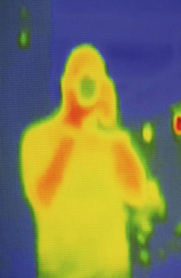Thermal Vision Simulator