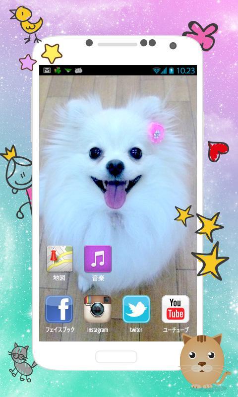 Beautiful Pomeranian images