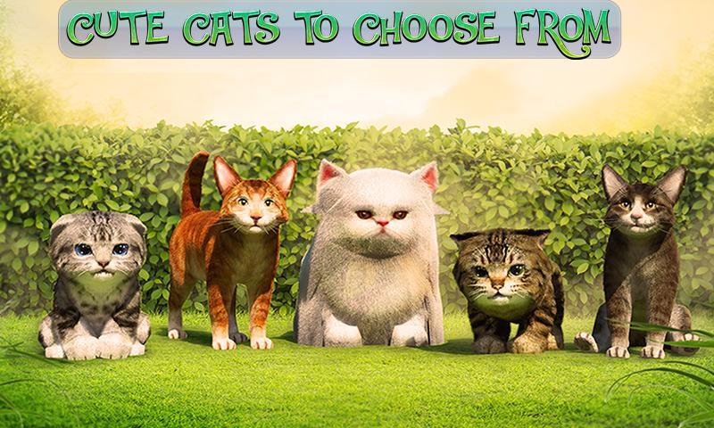 Cute Cat Adventure 2016