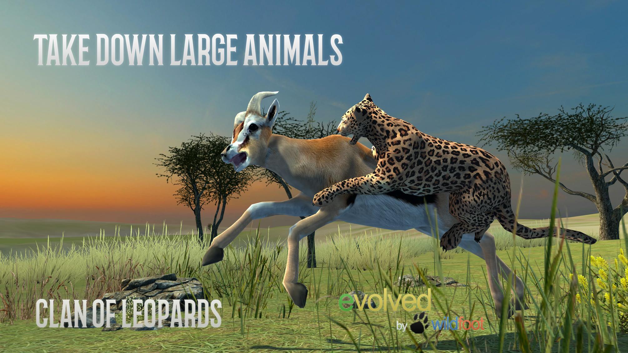 Clan of Leopards